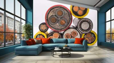 Cross section of high-voltage cable, polymer insulation Wall mural