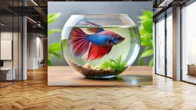 A solitary betta fish gracefully swims in a glass bowl with greenery, betta fish, fish, aquarium, underwater, glass bowl Wall mural