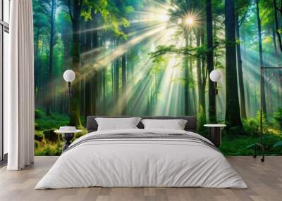 Beautiful deep forest scene with a light beam in woodland perfect for a background, Forest, trees, nature, beauty, serene Wall mural