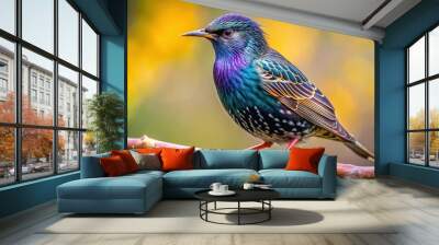 Common starling perched on a branch with vibrant plumage , starling, bird, colorful, feathers, wildlife, nature, beauty Wall mural