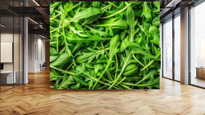 Fresh arugula leaves top view, arugula, greens, salad, healthy, organic, vegetable, ingredients, close up, food, fresh Wall mural