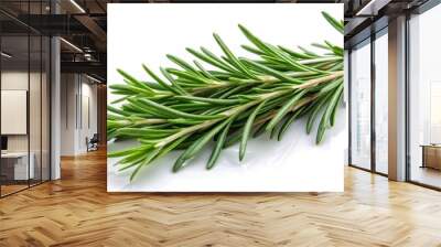 Fresh green rosemary branches on white background , Rosemary, herbs, green, aromatic, culinary, ingredient, cooking Wall mural