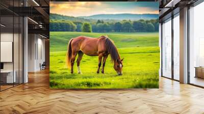 Horse peacefully grazing on green grass field, horse, eating, grass, field, nature, animal, grazing, outdoor, agriculture Wall mural