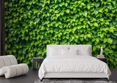 Vibrant green foliage texture with leaves on wall in a lush garden, perfect for a fresh summer background, vertical garden, lush Wall mural