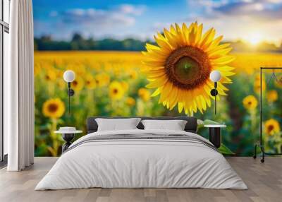 Vibrant sunflower blooming in a field, nature, beauty, yellow, flower, sun, petals, plant, garden, summer, growth, vibrant Wall mural