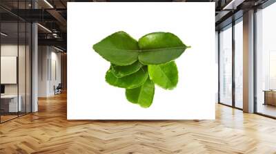 Kaffir lime leaves on a white background. Used for cooking and as an herb that is beneficial to the body. Wall mural