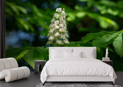 Fresh white chestnut flower and green leaves. Wall mural