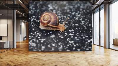 a grape snail crawling on a glossy surface Wall mural