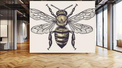 Explore the elegance of simplicity with a honey bee vector engraving on a minimalist white background Wall mural