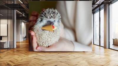 Cute funny hedgehog holds ice cream cone toy in its paws. Portrait of pretty curious muzzle of animal. Favorite pets. Atelerix, African hedgehogs. High quality photo Wall mural