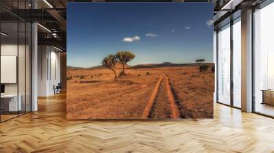 One tree and a road - National park Maasai Mara - Kenya Wall mural