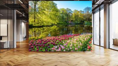 Amazing nature landscape, royal garden Keukenhof at spring. Scenic view of famous park with colorful tulips, green lush foliage, blue sky and reflection in the water, travel background, Netherlands Wall mural