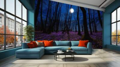 Beautiful flowering meadow with a wild purple crocus or saffron flowers in moonlight against an oak forest background, amazing night landscape, early spring in Europe Wall mural