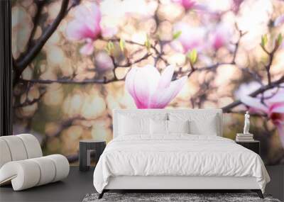 Blossoming pink flower background, natural wallpaper. Flowering magnolia branch in spring, macro image with copyspace and beautiful bokeh Wall mural