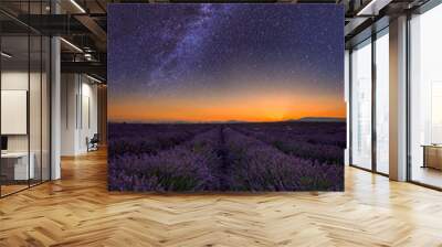 Lavender field at night in Provence, amazing landscape with starry sky, milky way and glow of sunrise, France, vertical image Wall mural