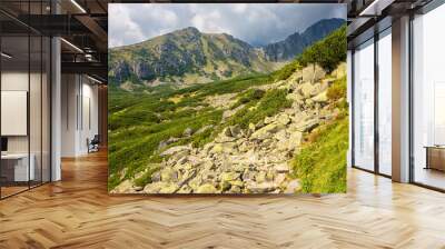 Tourist route in summer High Tatra mountains, scenic landscape with rocks, green grass and dramatic cloudy sky, outdoor travel background, Strbske Pleso region, Slovakia (Slovensko) Wall mural