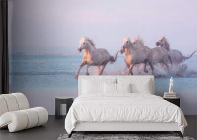 White Camargue horses of a sea run gallop in the water in soft sunset light with splash and reflection, travel background, National park Camargue, Bouches-du-rhone, Provence-Alpes-Cote d'Azur, France Wall mural