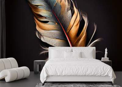 feather on black background Wall mural