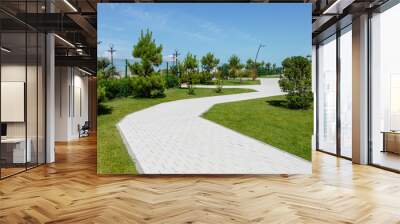 Walking path made of square paving slabs in a public park on a sunny summer day. Clean urban landscape, outdoor public place Wall mural