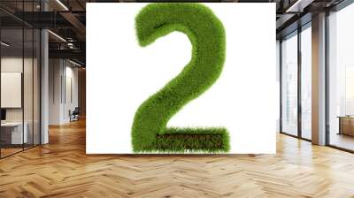 Number 2, made of grass isolated on white background. Symbol covered green grass. Eco letter. 3d illustration Wall mural