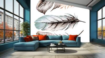 Bird feather set, watercolor boho illustration. Hand drawn. Suitable for poster design, print, sublimation.	 Wall mural