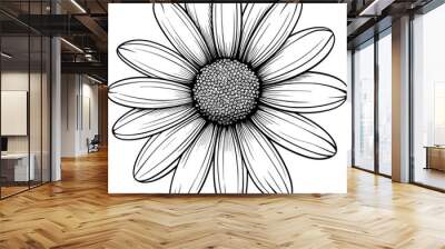 Daisy flower hand drawn design illustration Wall mural