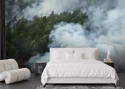 Forest fire smoke engulfing trees, danger and disaster concept Wall mural