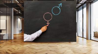 Gender symbols or signs for the male and female sex drawn on a blackboard Wall mural