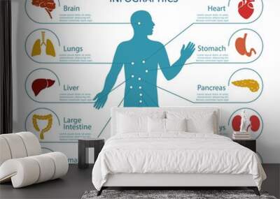 Human organs infographics. Human body anatomy with icons of human internal organs. Isolated. Vector illustration Wall mural