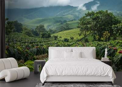 Lush green coffee plantation with ripe red berries and scenic hi Wall mural