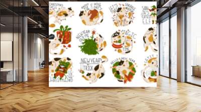 Collection compositions with funny Christmas cat. Humorous phrases. New year stickers with cute adorable kitty. Greeting card for holiday party. Poster, print. Flat style in vector illustration Wall mural