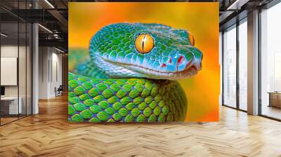 Captivating close-up of coiled green tree python with intricate scales Wall mural