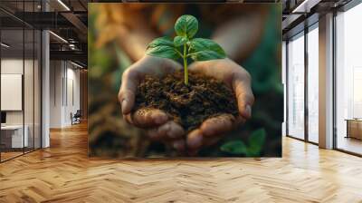 Unrecognizable woman holding a green seedling growing in soil. Woman holding young green seedling in soil, closeup Wall mural