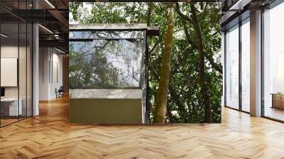 Modernist Historical Heritage House Lina Bo Bardi Preserved Vegetation Atlantic Forest Wall mural