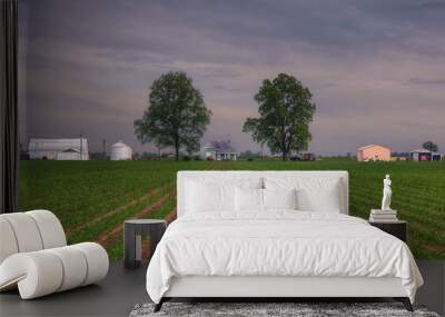 Farm House Between Two Trees.  A barn at dusk in a field of freshly planted corn.  The rows of corn point to the barn.   Wall mural