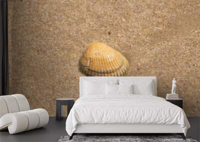 Beautiful seashell lay on the beach. The brown ridges and pretty bands help make it stand out. This blood ark shell is really catching the light of the sun as it sits among the brown grains of sand. Wall mural