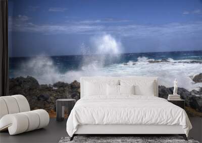 Crashing Surf in Aruba Wall mural