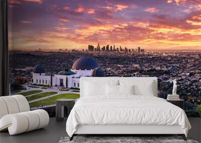  Los Angeles Griffith Observatory Wall mural