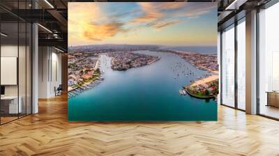 Newport beach Los Angeles Wall mural