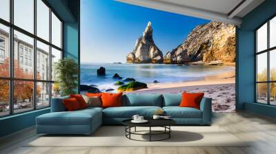 rock and sea Wall mural