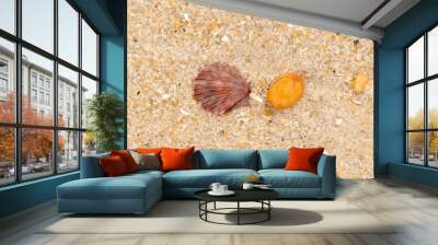 This is a beautiful image of a seashell sitting on the beach next to a tiny pebble with grains of sand all around. The scallop shell has a pretty fan look to it with ridges. The red colors stand out. Wall mural