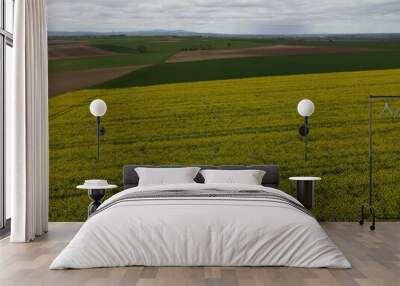 field and blue sky with clouds Wall mural