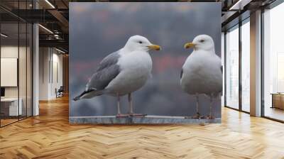 Couple of sea gulls on a roof. Wall mural