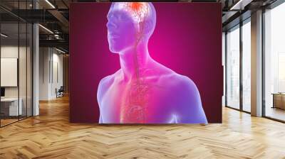 3D illustration of the of the blood vessels in the human brain and cerebrovascular disease or hemorrhagic stroke and causes of a brain stroke Wall mural