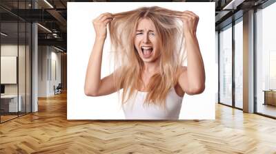 Young blond woman unhappy with her haircut, touching her hair with both hands and looking at camera with screaming grimace. Front portrait on white background Wall mural