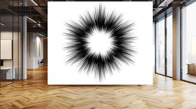 Vector pattern in the form of an abstract explosion with a flash in the center. Black and white vector pattern Wall mural