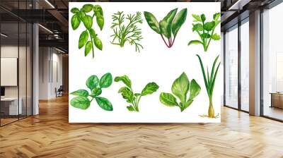 Watercolor clip art collection of fresh herbs isolated: mint, rosemary, sage, oregano, bay leaves, olive, thyme.Herbs object isolated on white background. Kitchen herbs and spices banner. Clip art set Wall mural