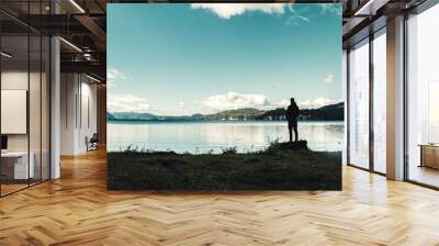 Young man standing on a felled tree overlooking a lake and mountain range in the background. Concept of life in nature. Andes Mountains, Argentina Wall mural