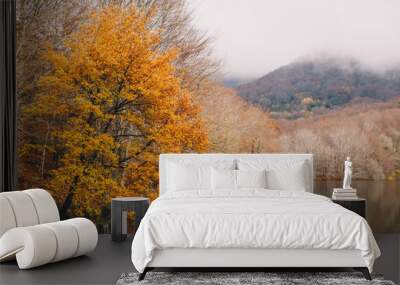 Autumn Landscape of lake and forest Wall mural