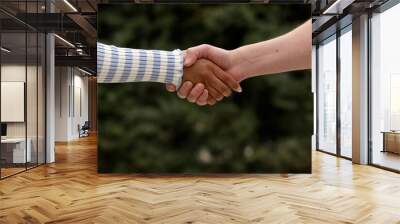 A male close up holding a hand between two colleagues who have a good relationship concept in a natural background. Wall mural